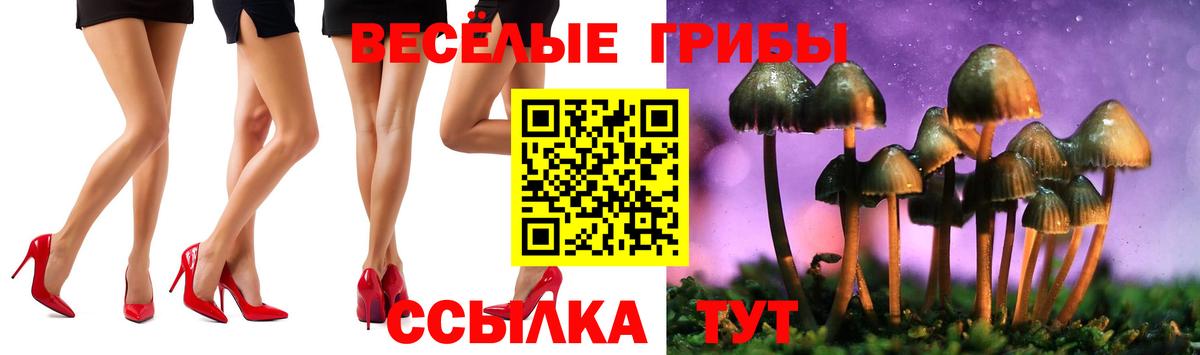 Галлюциногенные грибы ЛСД  Галлюциногенные грибы Psilocybine cubensis  Вход с VPN  Богородицк 